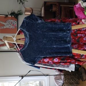 Vintage velvet top